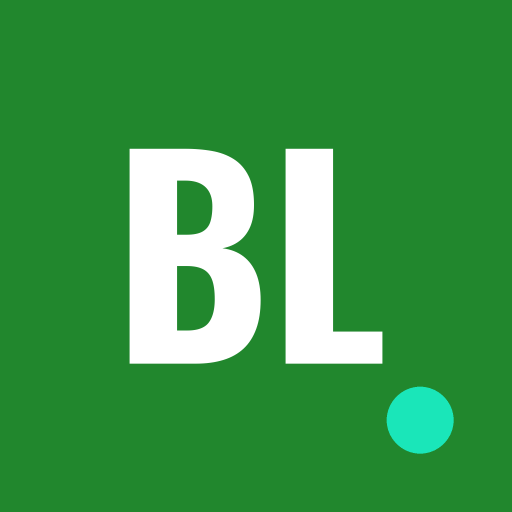 Bright Little Fits logo